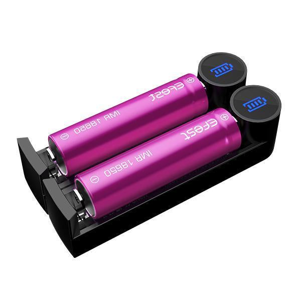 two purple batteries in K2 charger