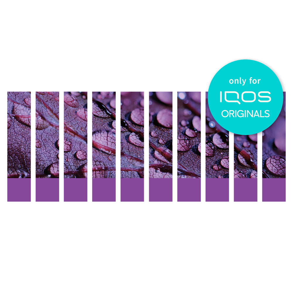 purple leaf with water drops and iqos original logo
